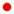 日本語